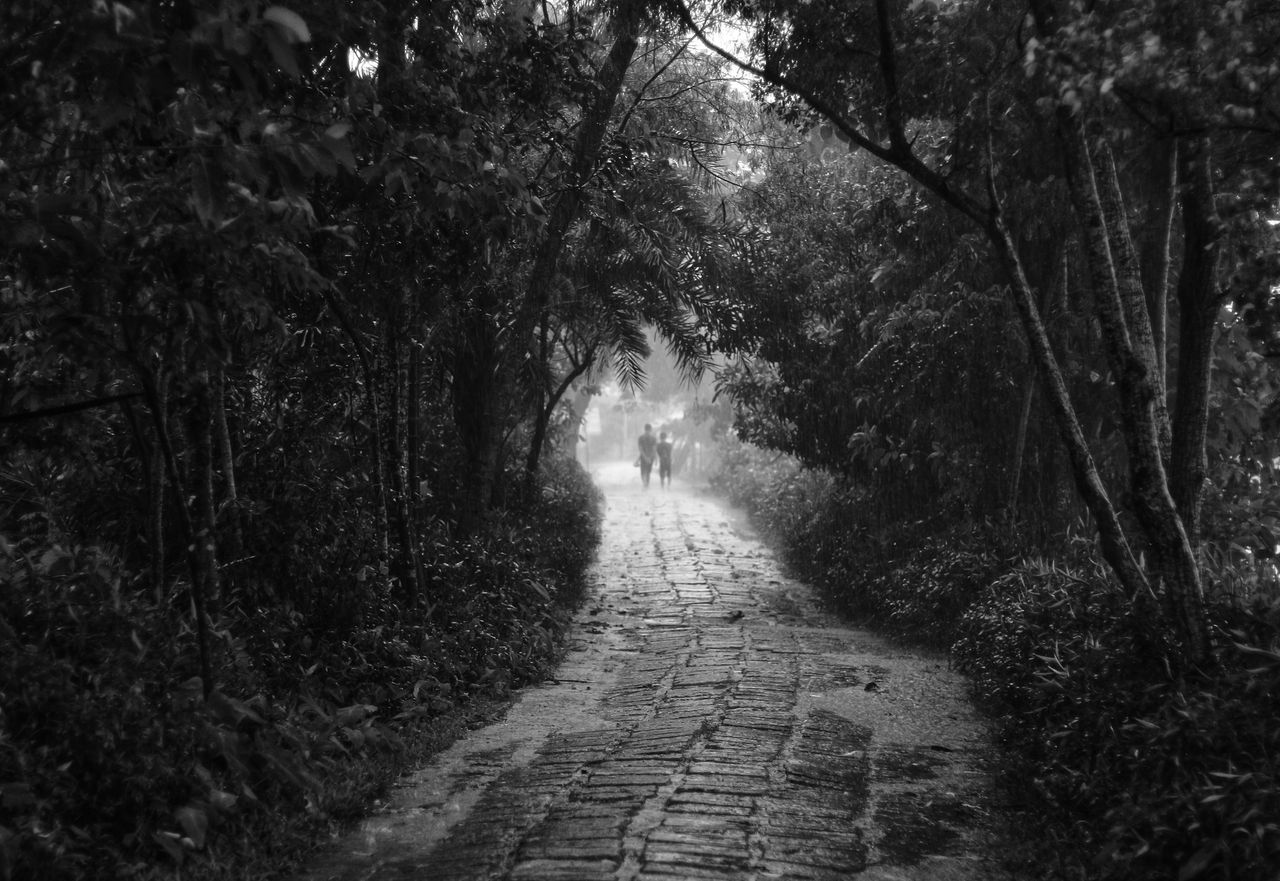 black and white image of a rainy forest path with two figures walking