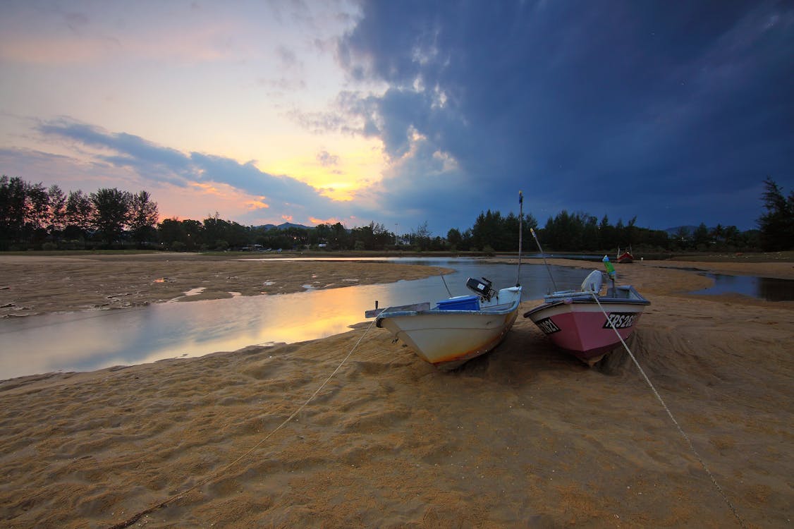 Pink and White Boats in Shore