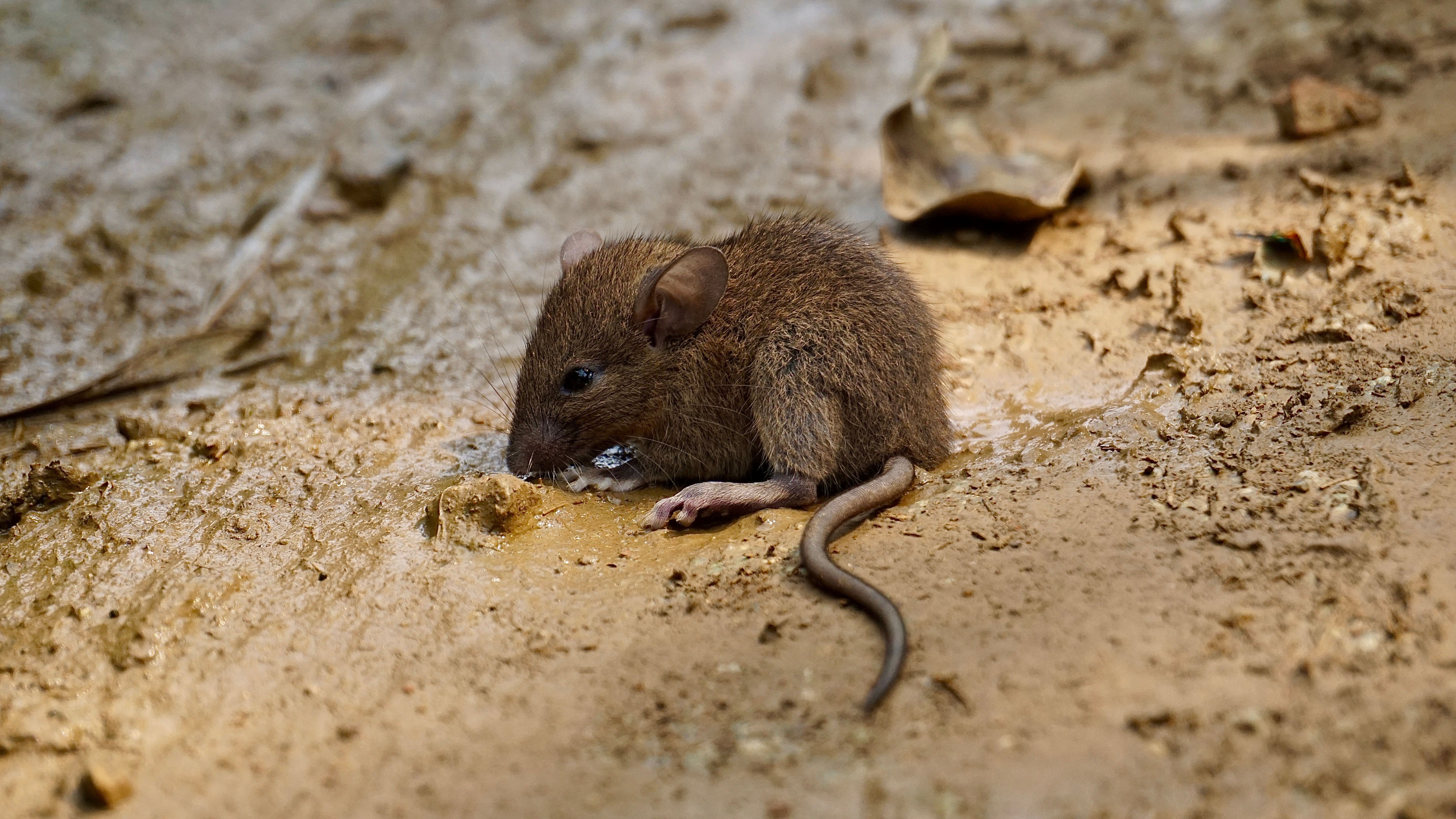 Foto: Duong Nguyen / Pexels