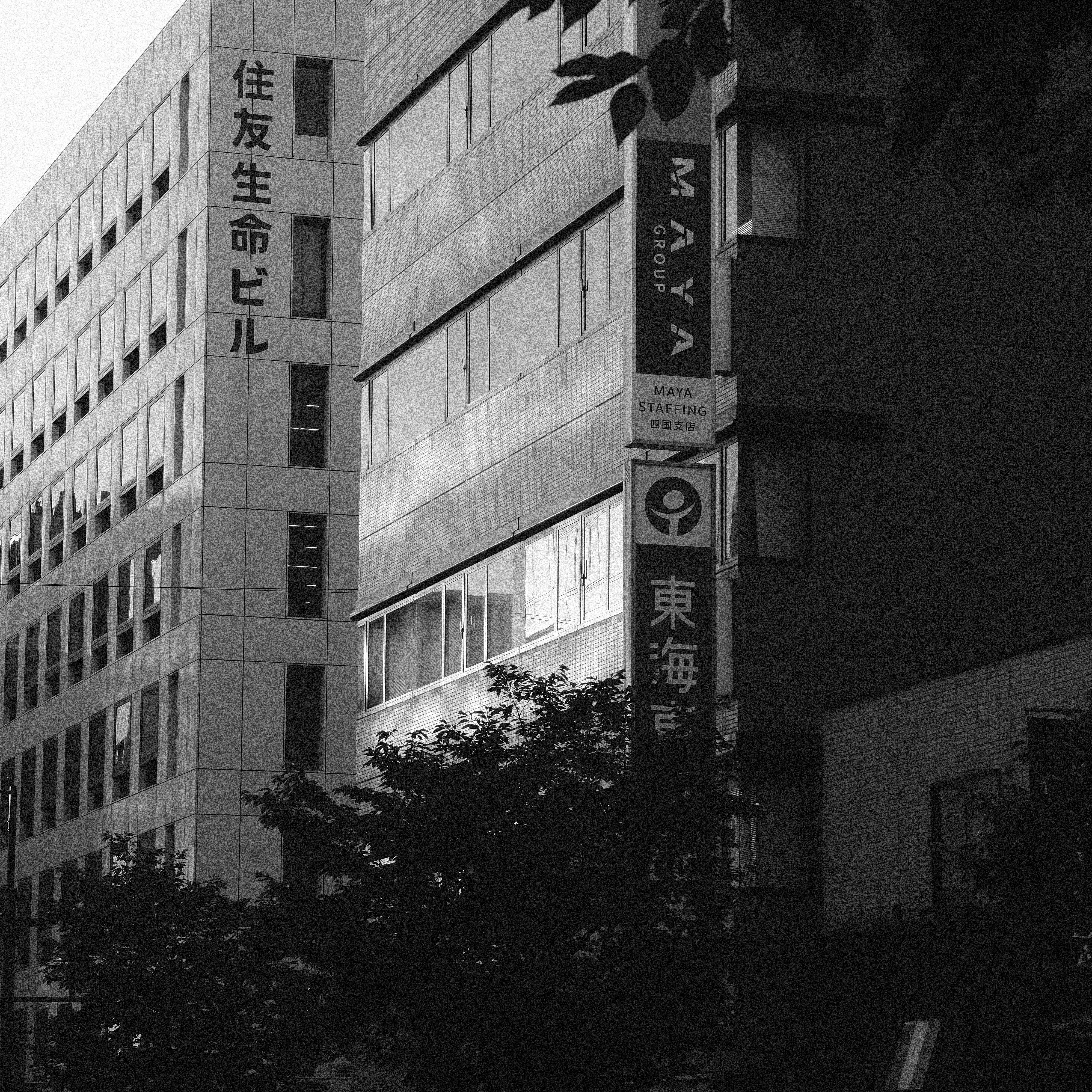 Captivating monochrome photo of modern urban buildings with Japanese signage.