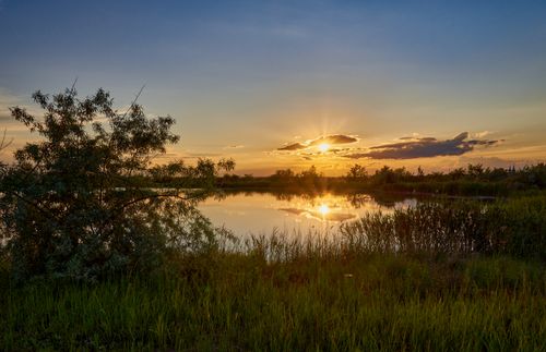 Free Captivating sunset with golden rays reflecting on a tranquil lake surrounded by lush greenery. Stock Photo
