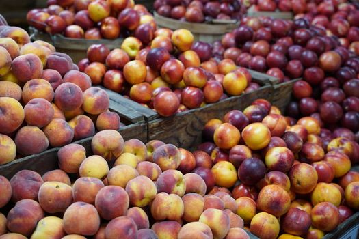 A vibrant display of fresh peaches and plums at a local farmers market.