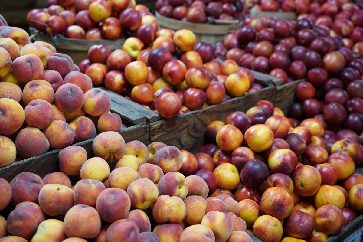 Pêche, nectarine, brugnon : les différences - Nectarine et brugnon : quelles différences réelles ?