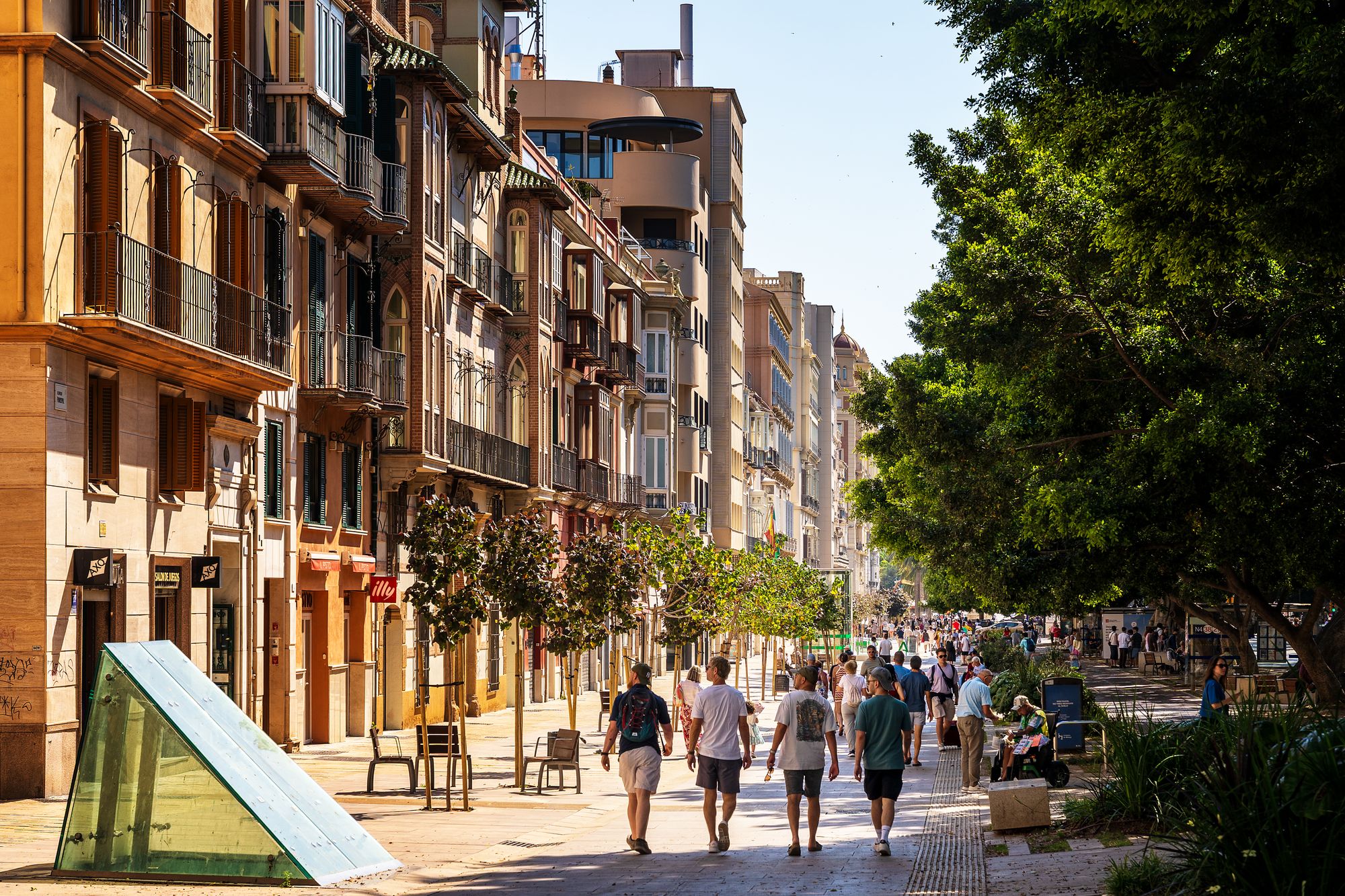 Palma