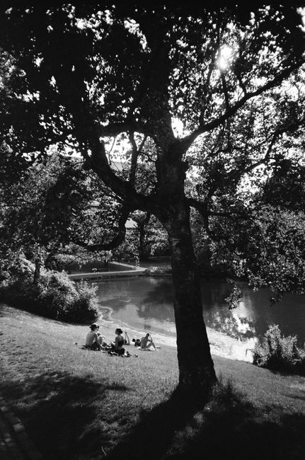 A peaceful summer day in Copenhagen park with people relaxing by the water.