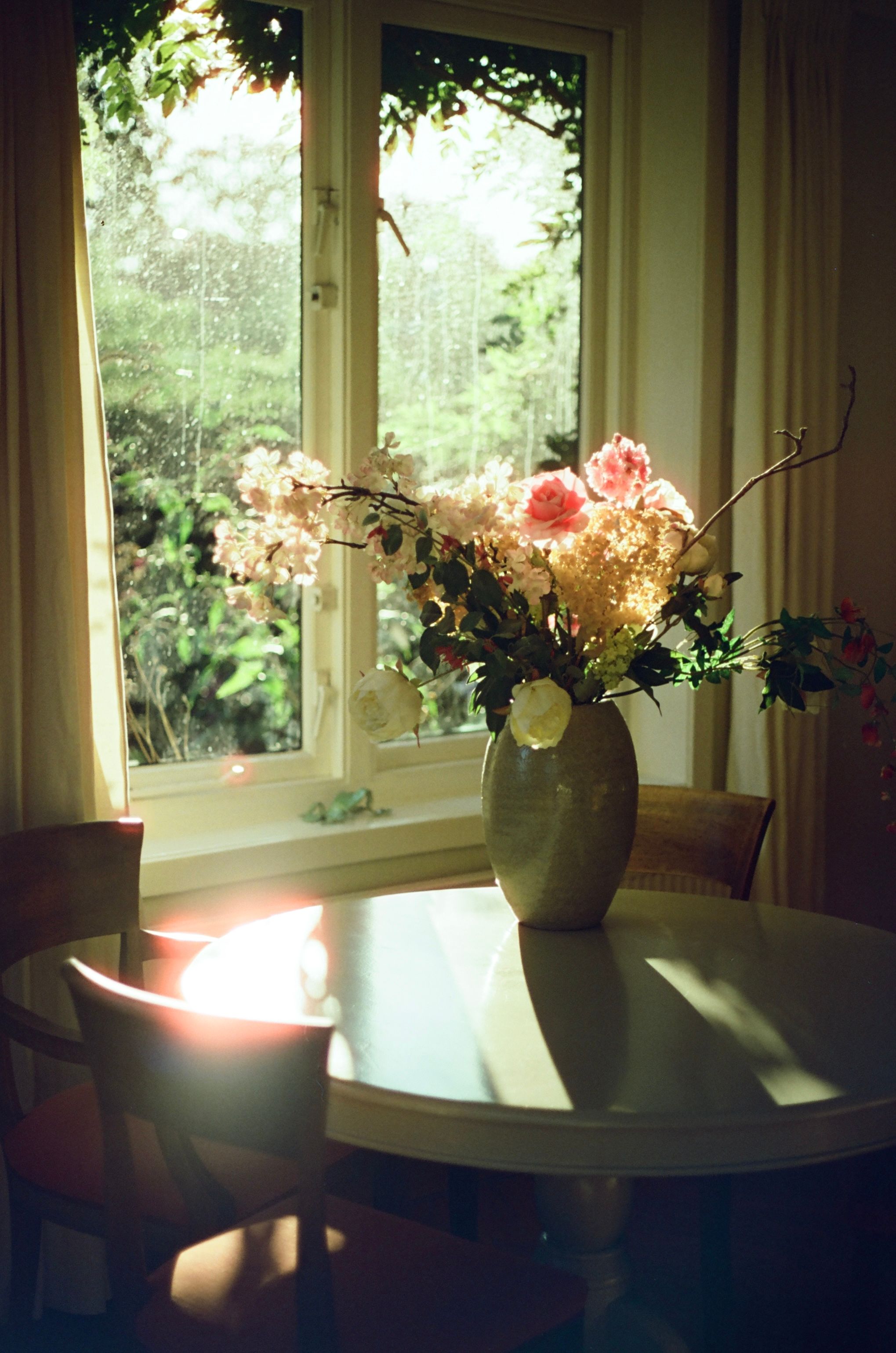 A vase of flowers beautifully lit by the sun through a window.