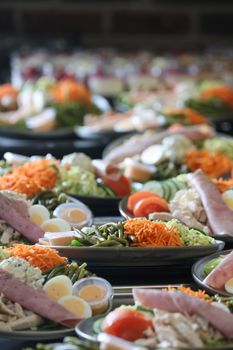 Vibrant salad platters with fresh vegetables, eggs, and meats, ideal for healthy meal themes.