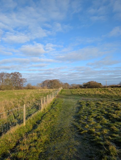 Free A peaceful rural landscape featuring a grassy pathway flanked by fences under a bright blue sky. Stock Photo