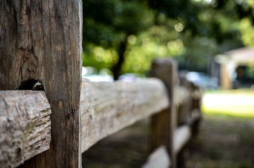 木柵欄, 籬笆, 背景 的 免費圖庫相片