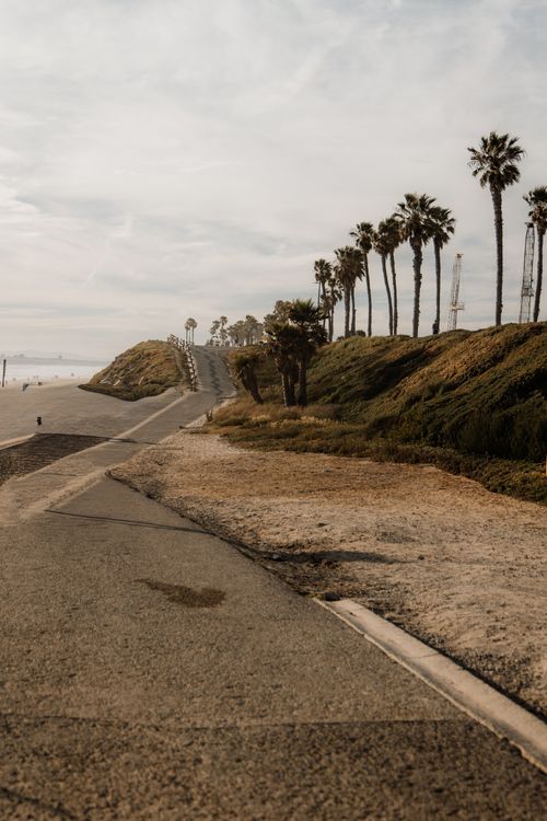 Free Scenic coastal pathway with palm trees against a cloudy sky, perfect for travel and nature concepts. Stock Photo
