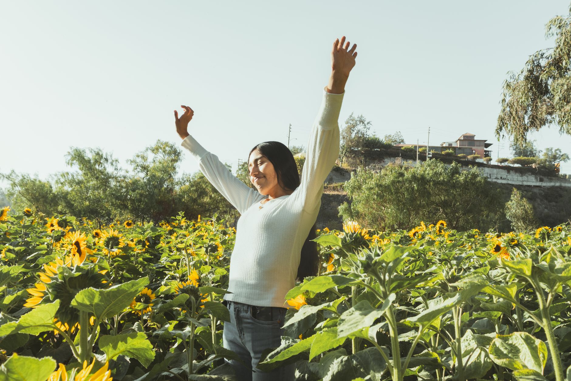 🍽️ Alimentación y el agotamiento emocional en el trabajo: lo que comes sí importa - técnica para reducir el estrés 🍽️ Alimentación y el agotamiento emocional en el trabajo: lo que comes sí importa - técnica para reducir el estrés