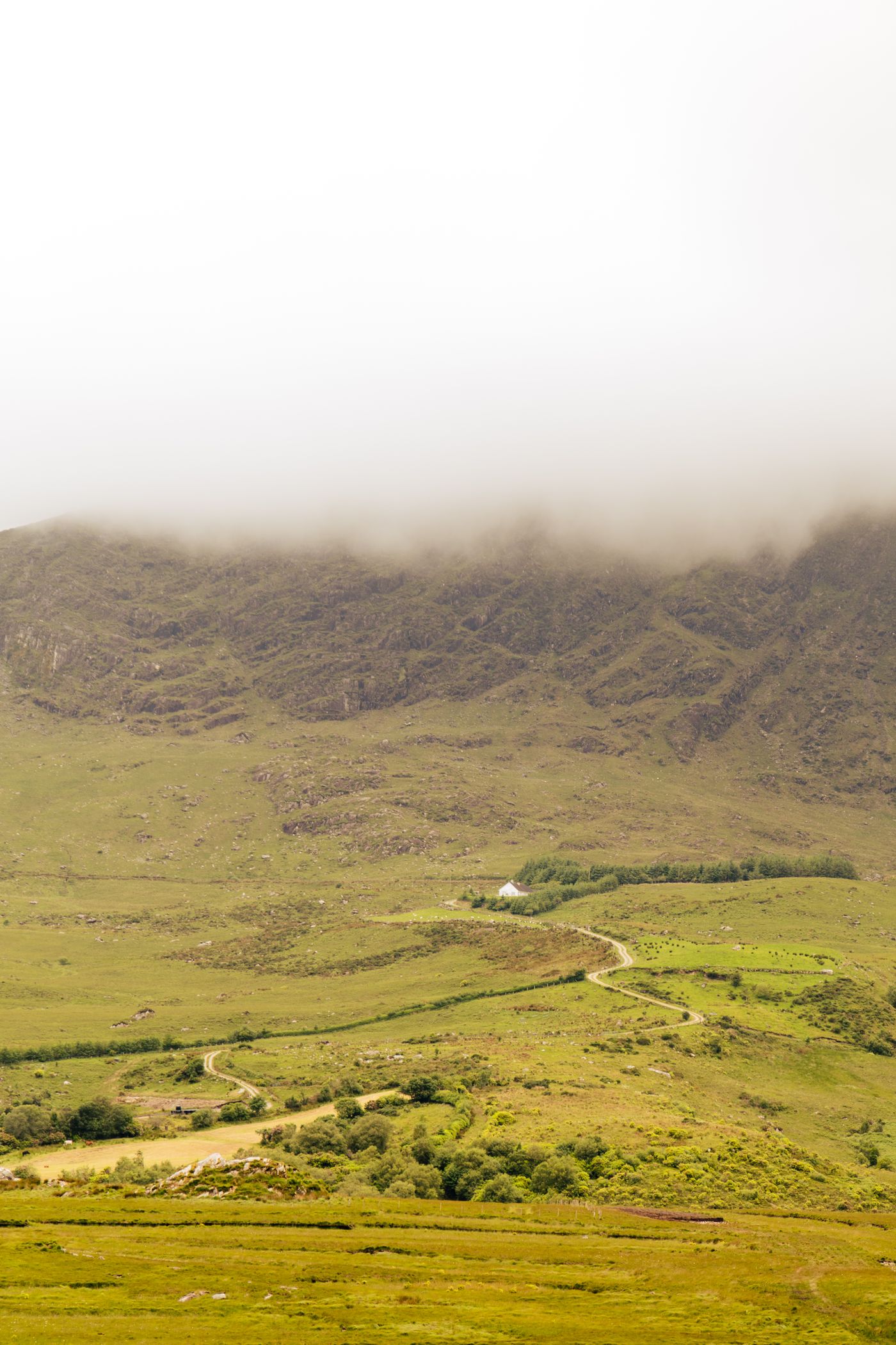 Paysage du Kerry, Killarney, Irlande