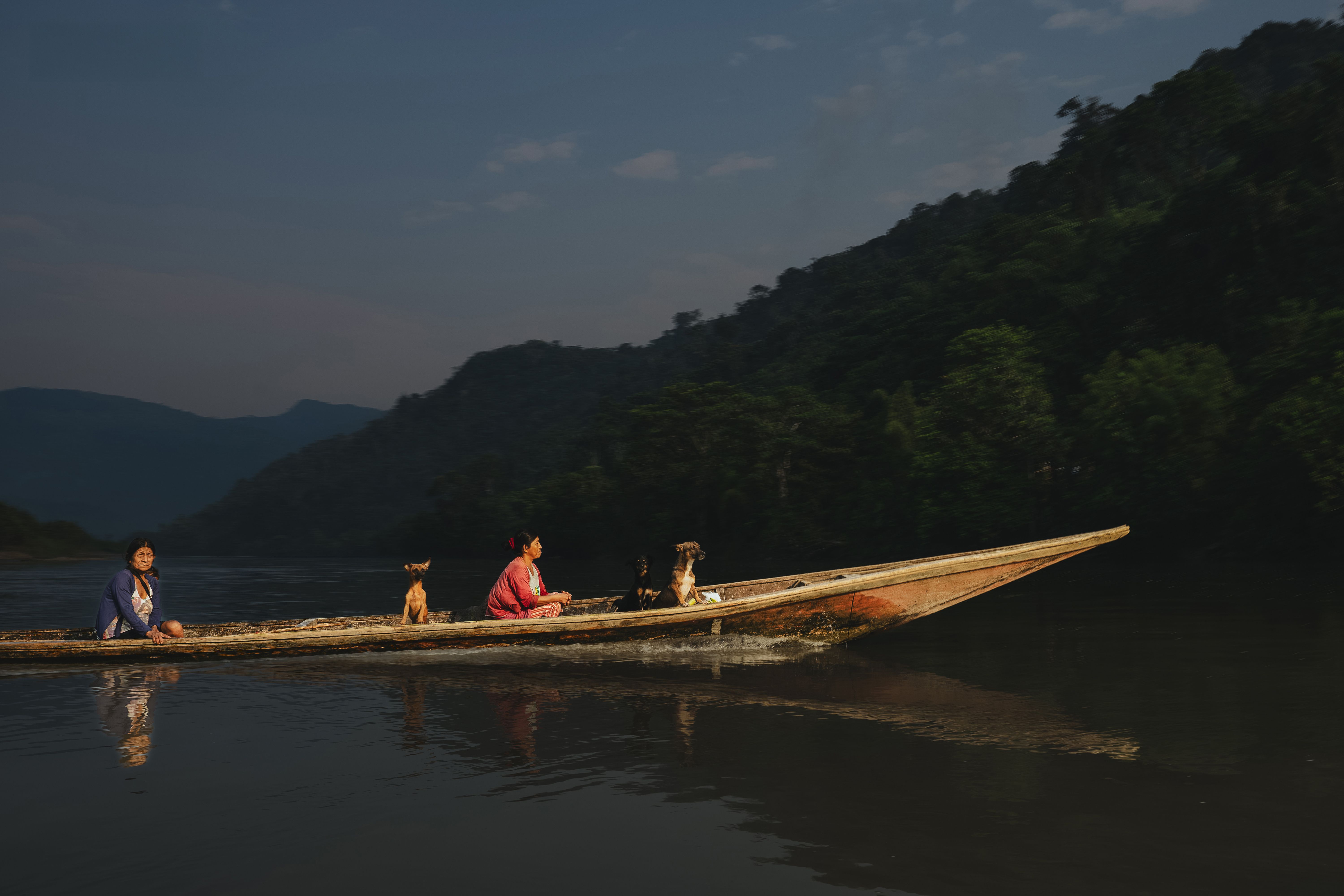 Two people with dogs travel on a wooden canoe in the Amazon River, Peru.