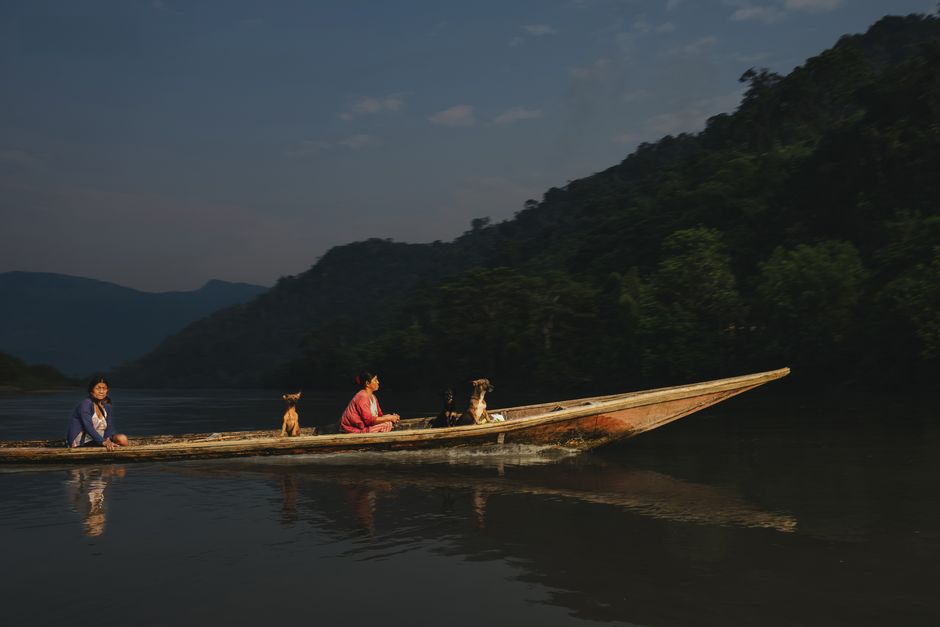 Two people with dogs travel on a wooden canoe in the Amazon River, Peru.