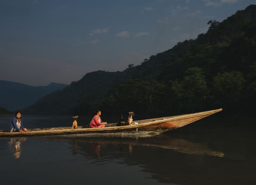 Two people with dogs travel on a wooden canoe in the Amazon River, Peru.