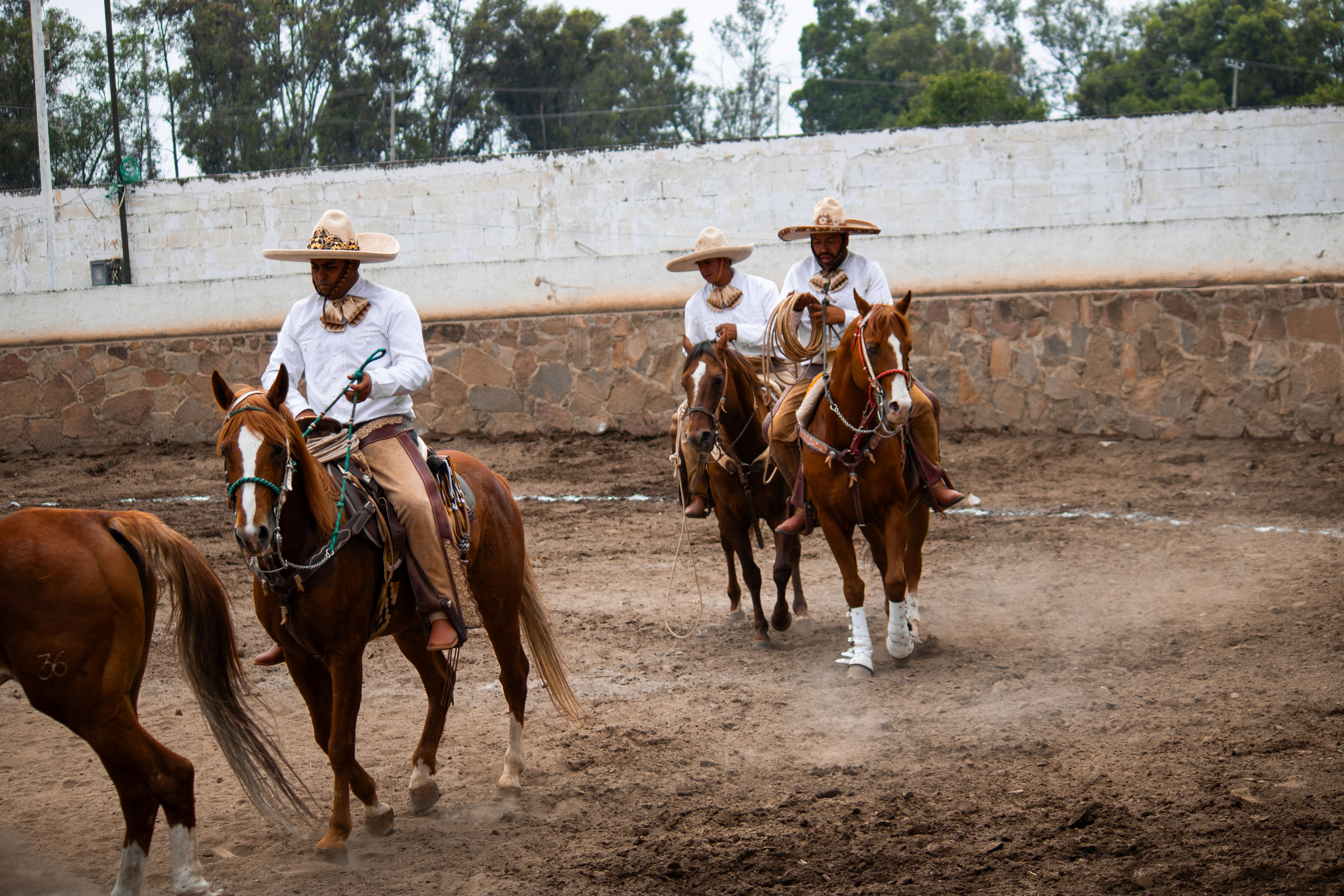 Foto: Rodolfo Cora / Pexels
