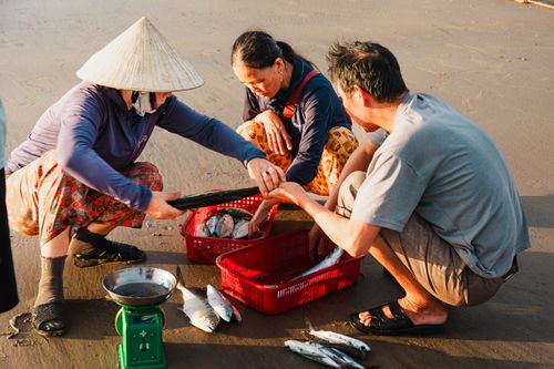 Free Local fishmongers at work on a beach in Quảng Trị, Vietnam, engaging in traditional fish trading. Stock Photo
