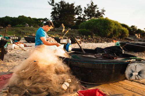 Free A fisherman in Quảng Trị, Vietnam prepares his fishing nets on a beach during a warm sunrise. Stock Photo