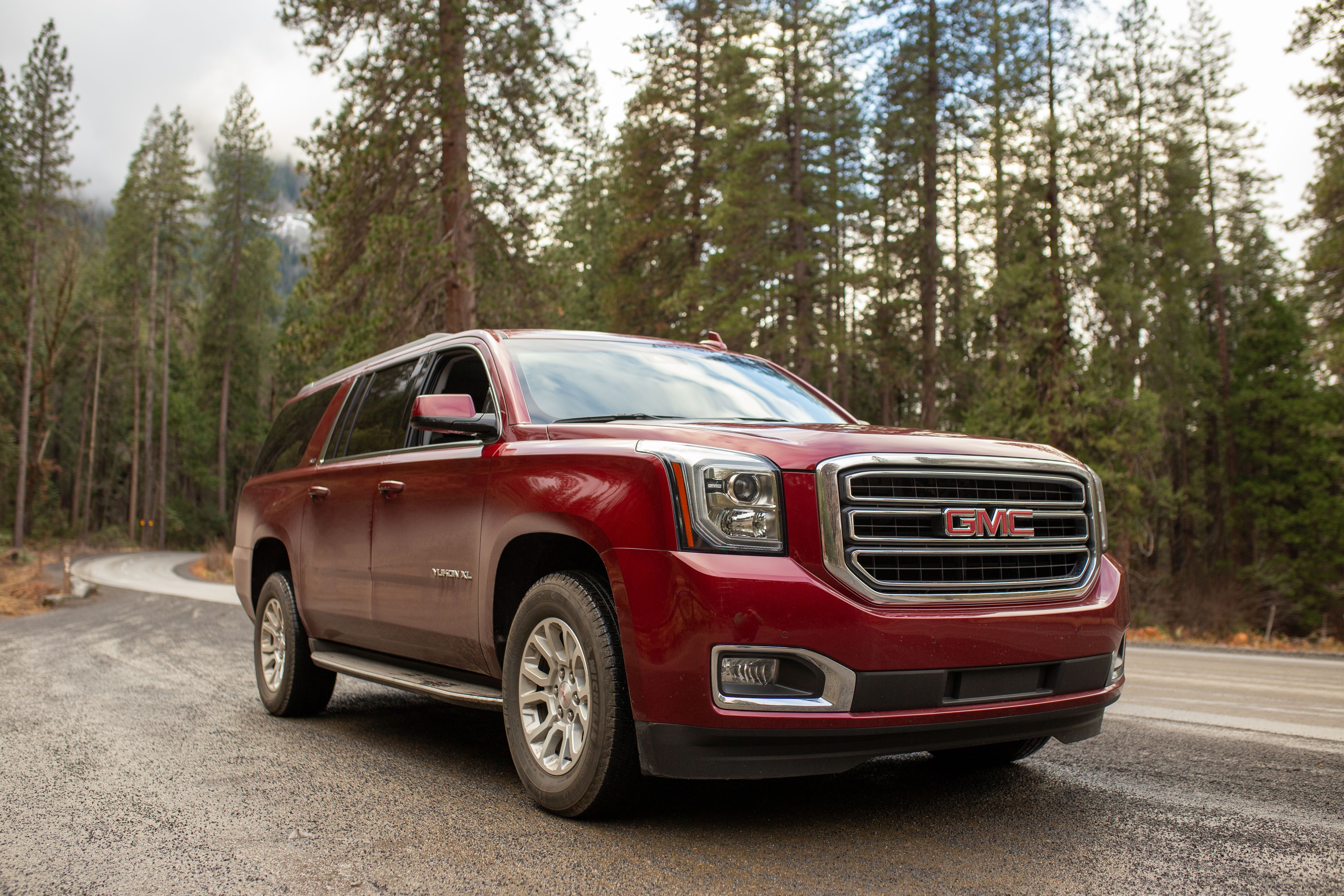 A stylish red SUV parked on a winding road surrounded by lush forest trees.