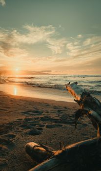 Breathtaking sunset over a serene beach in West Papua, Indonesia, with driftwood and gentle waves.