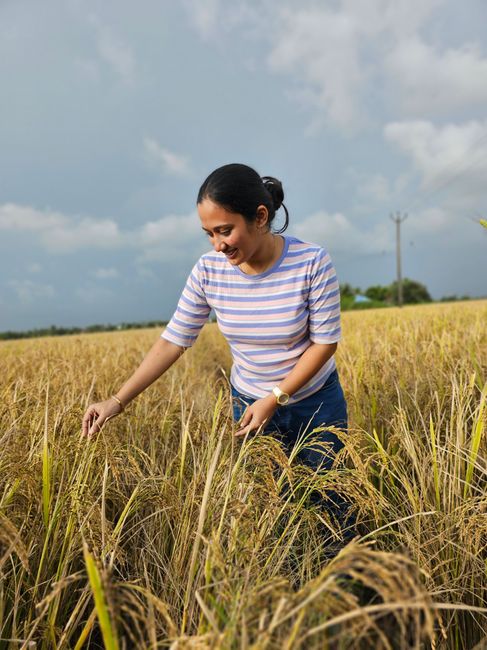 A smiling woman explores lush rice fields in Kuttanad, India, on a bright day.
