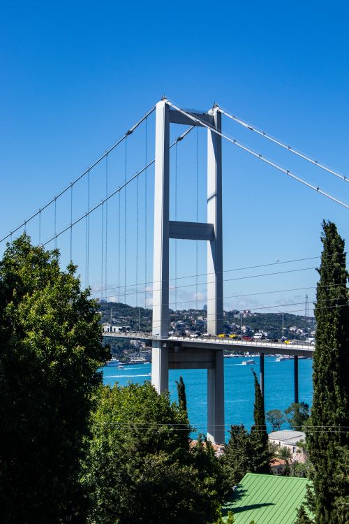 Free Scenic view of the Bosphorus Bridge and lush greenery under a clear blue sky in Istanbul. Stock Photo