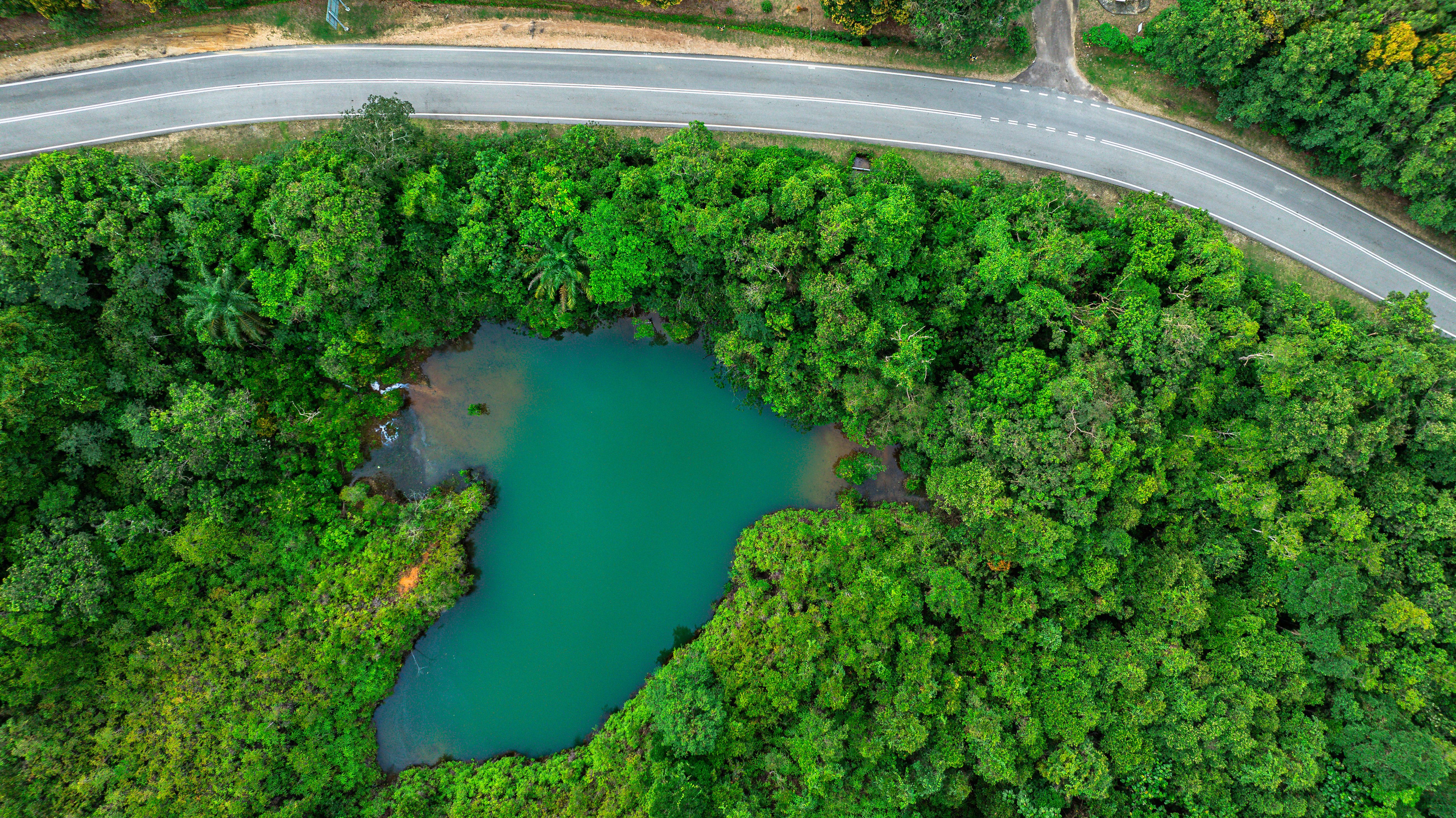 A stunning aerial view of a vibrant forest with a serene lake and a winding road in Jemaluang, Malaysia.