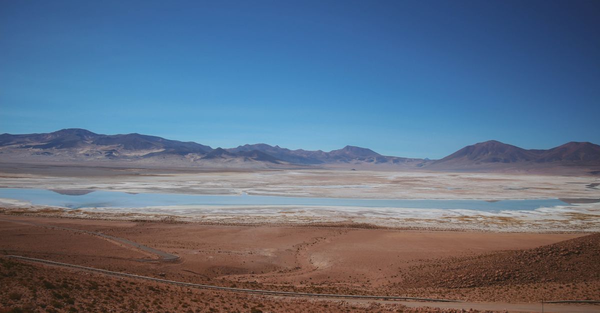 Vida resiliente en 8 desiertos y ambientes extremos con ecosistemas únicos Vida resiliente en 8 desiertos y ambientes extremos con ecosistemas únicos