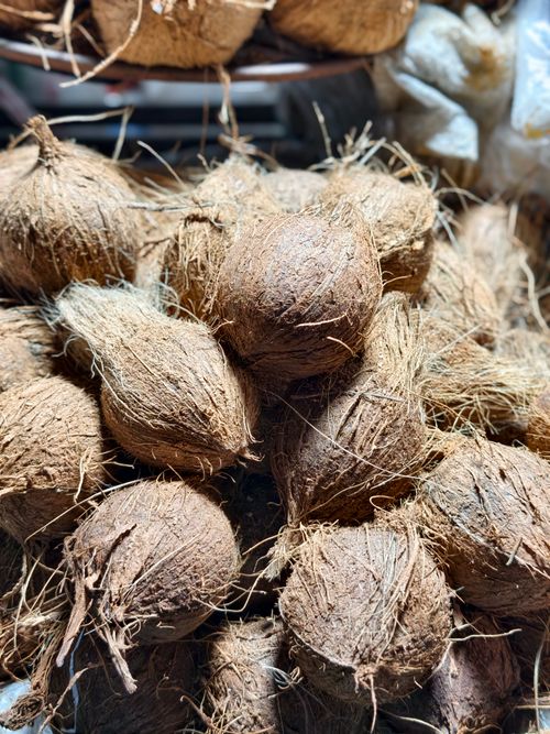 Free A stack of fresh coconuts with hairy husks in a market setting, vibrant and natural. Stock Photo
