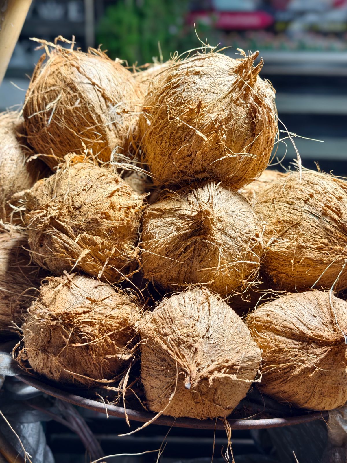 Timbunan kelapa tua berkulit coklat sedia untuk pemprosesan santan