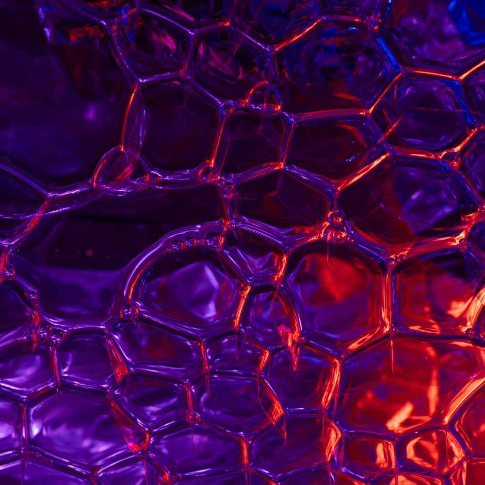 Wye — professional packers wrapping and boxing belongings