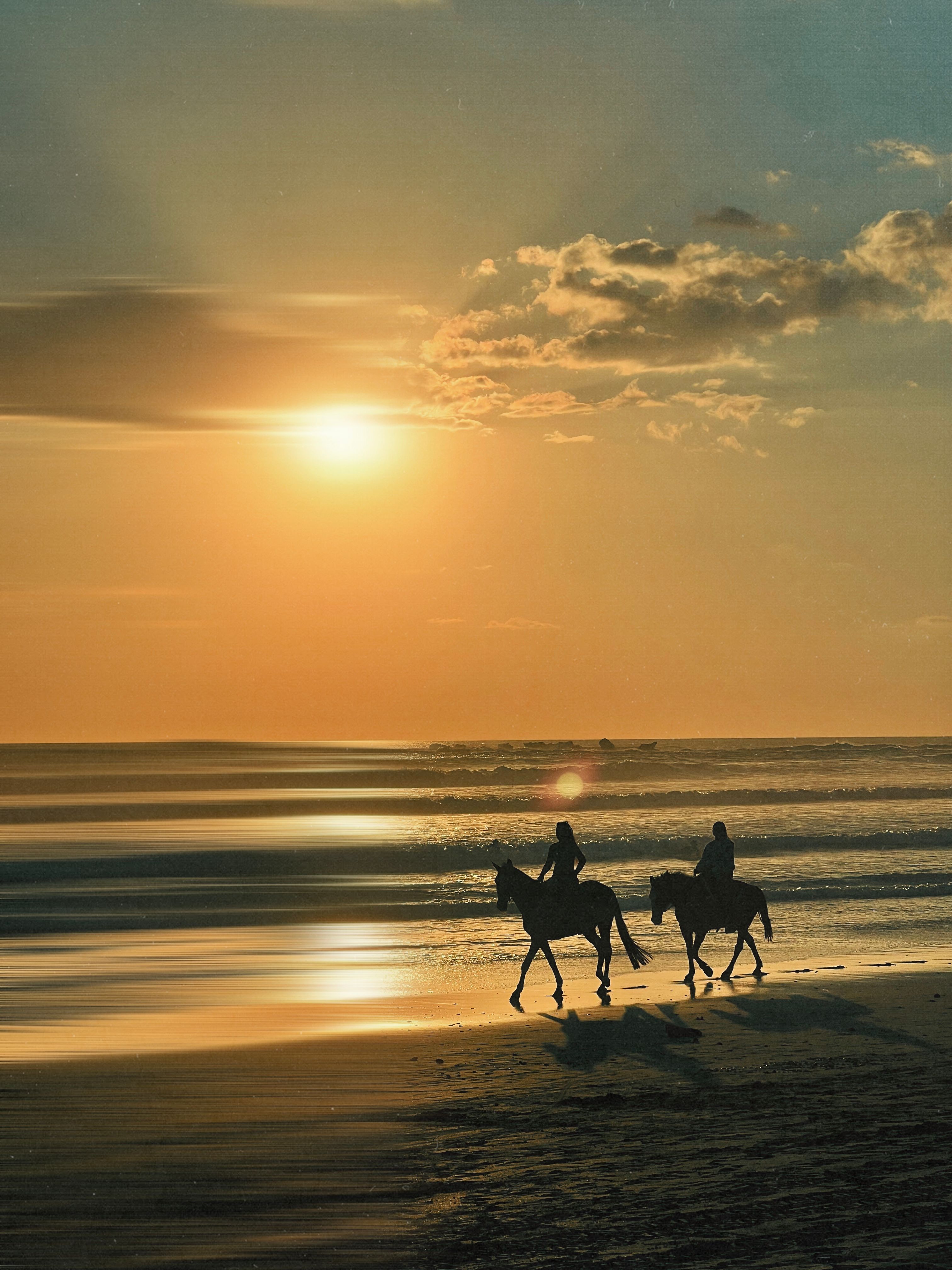 Beach Horse Ride