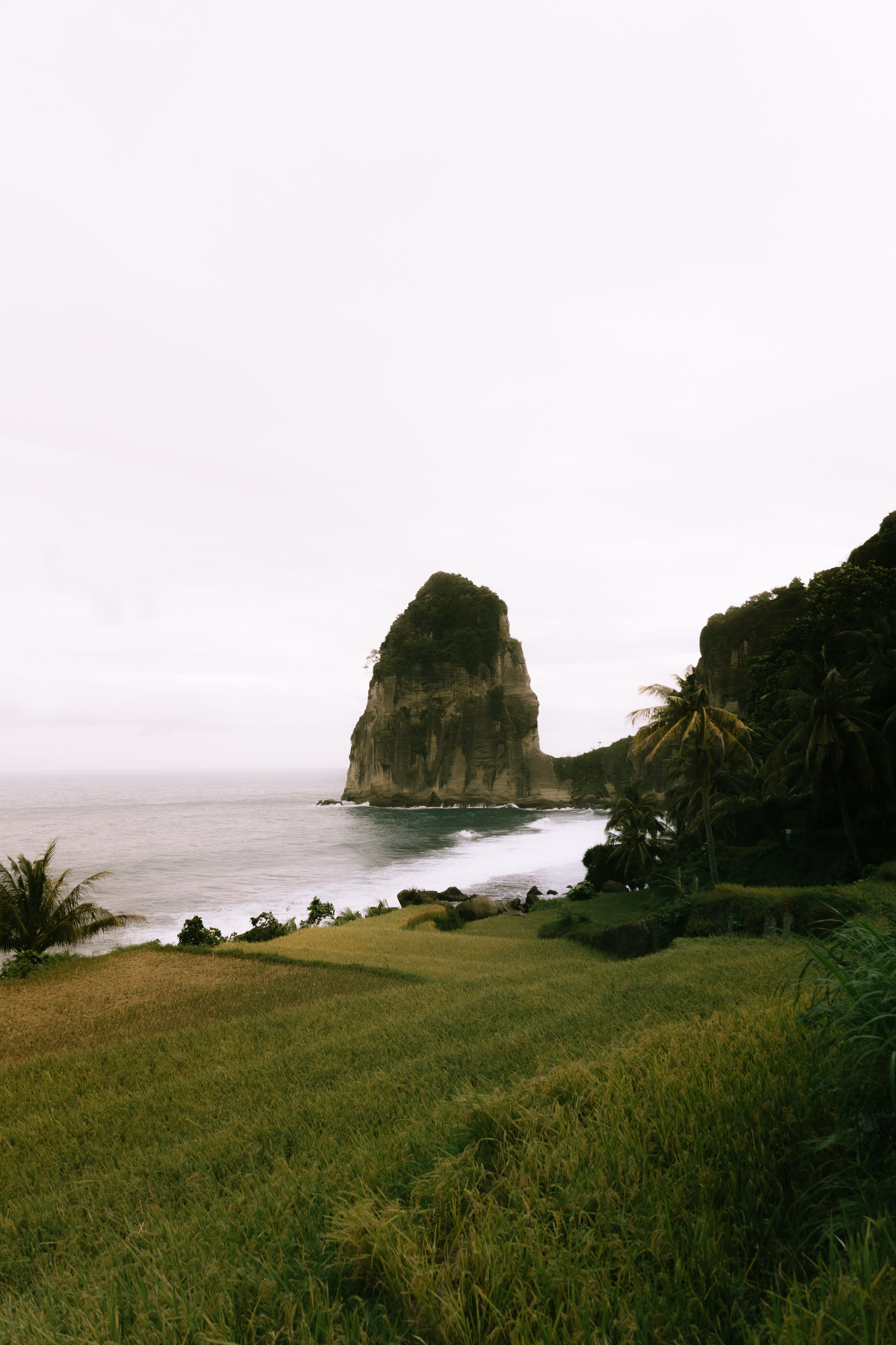 Banyuwangi Discovery