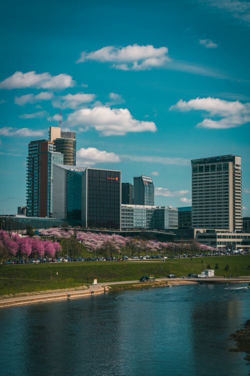 Free stock photo of city park, city skyscraper, european skyline Stock Photo