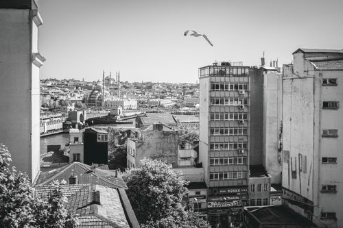Free Classic black and white photo of Istanbul cityscape with mosque and bridge in view. Stock Photo