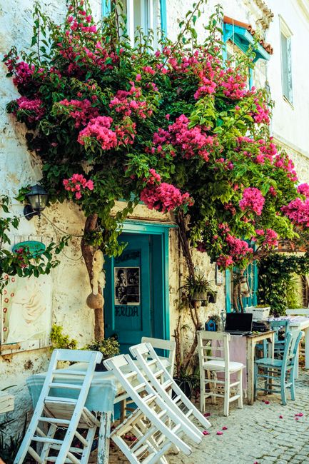 Picturesque street cafe adorned with vibrant bougainvillea blooms in a quaint setting.