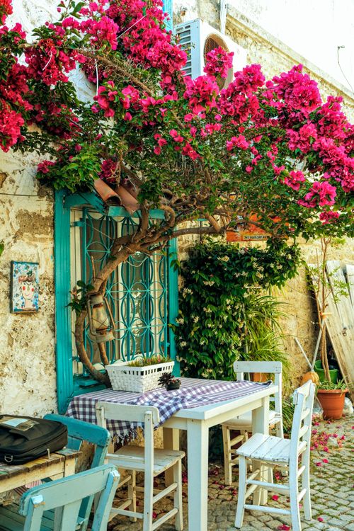 Free A picturesque outdoor café with vibrant bougainvillea, rustic furniture, and Mediterranean charm. Stock Photo