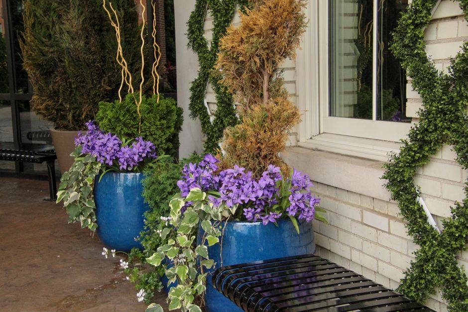 plant container design services Austin