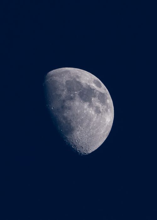 Free Captivating shot of the half moon set against a rich, deep blue background, showcasing lunar detail. Stock Photo