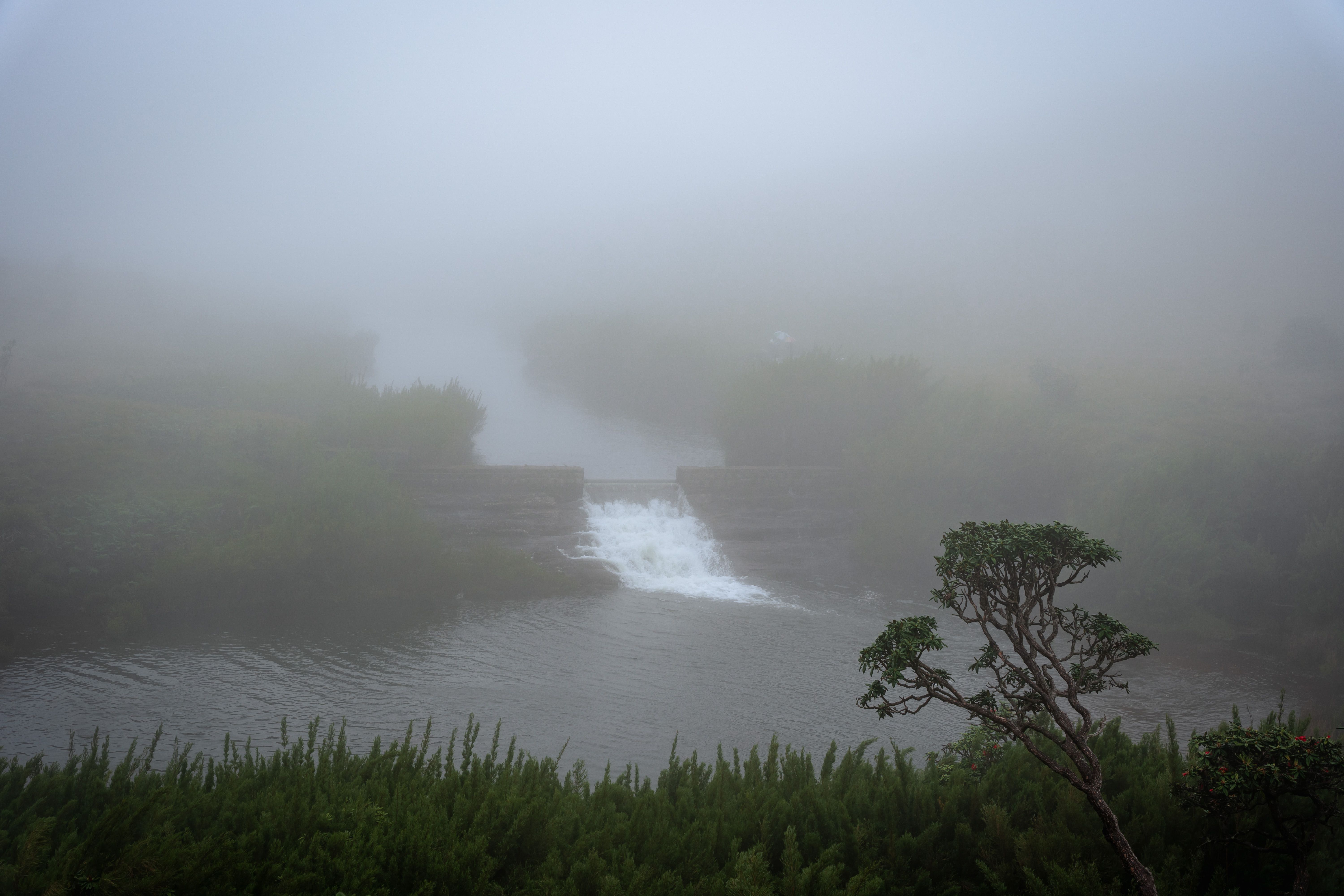 Misty stream and waterfall in Horton Plains National Park Sri Lanka