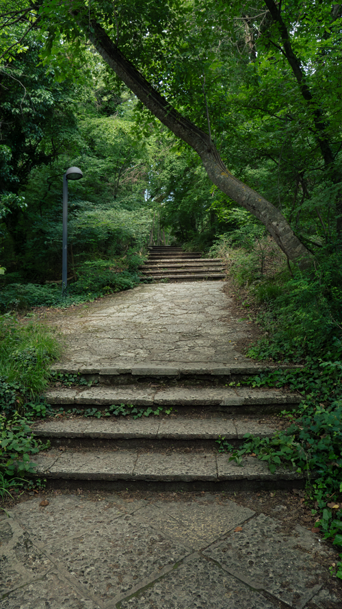 Free A tranquil stone pathway leads through a lush green forest, inviting exploration and peace. Stock Photo