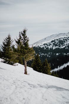 Scenic winter landscape with snow-covered mountains and evergreen trees under a cloudy sky.