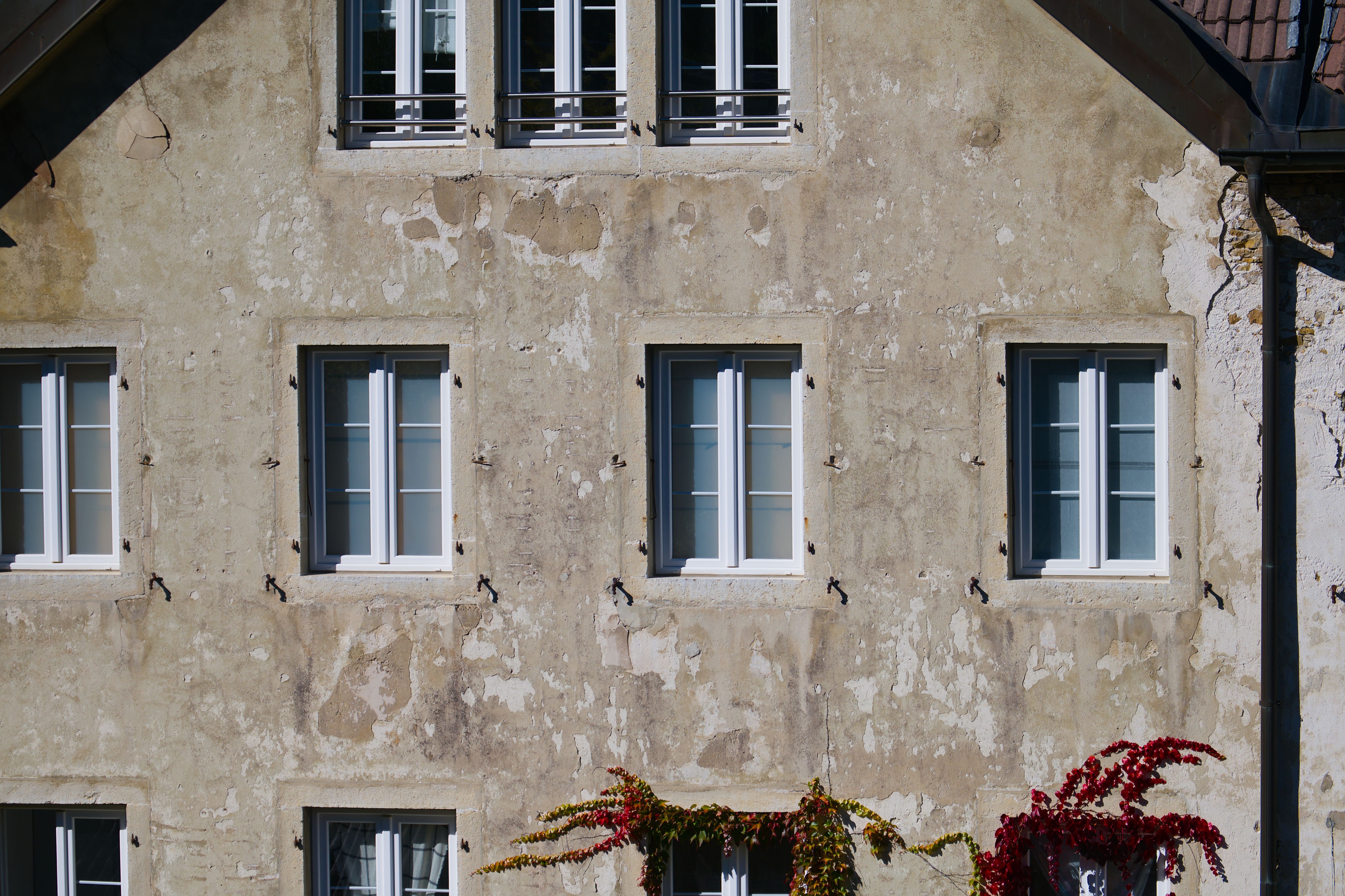 Homeowners Insurance Claim Denied? You Could Still Get Paid — Photo by Jean-Paul Wettstein on Pexels