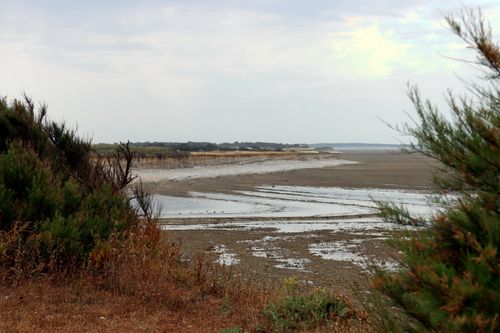 Free Beautiful coastal view with tidal flats in Nouvelle-Aquitaine, France. Stock Photo
