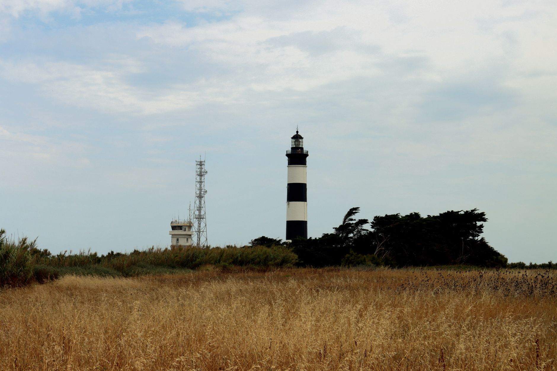 Île de Ré photo 2
