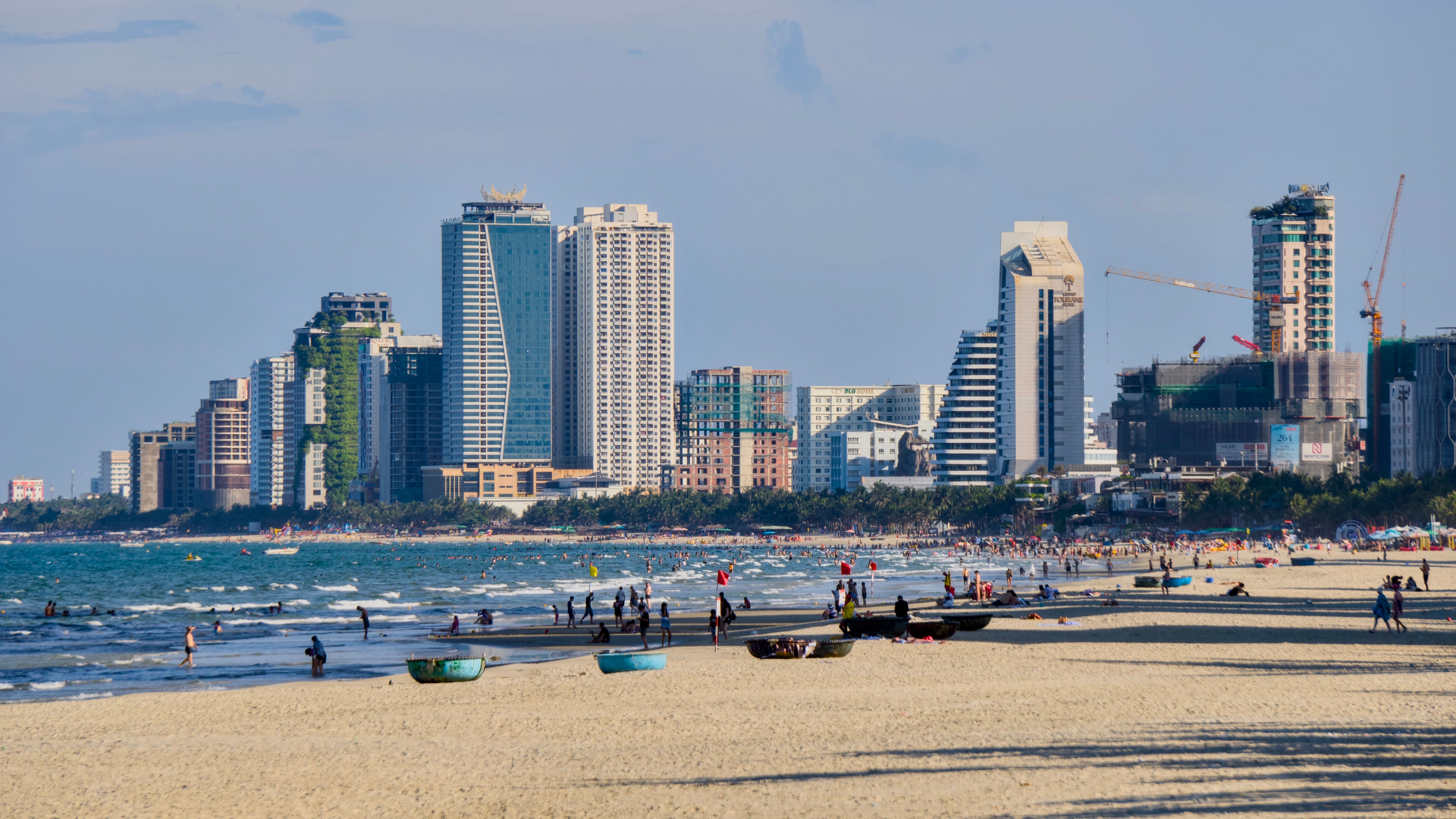 giải pháp lưu trú đà nẵng khi có thú cưng