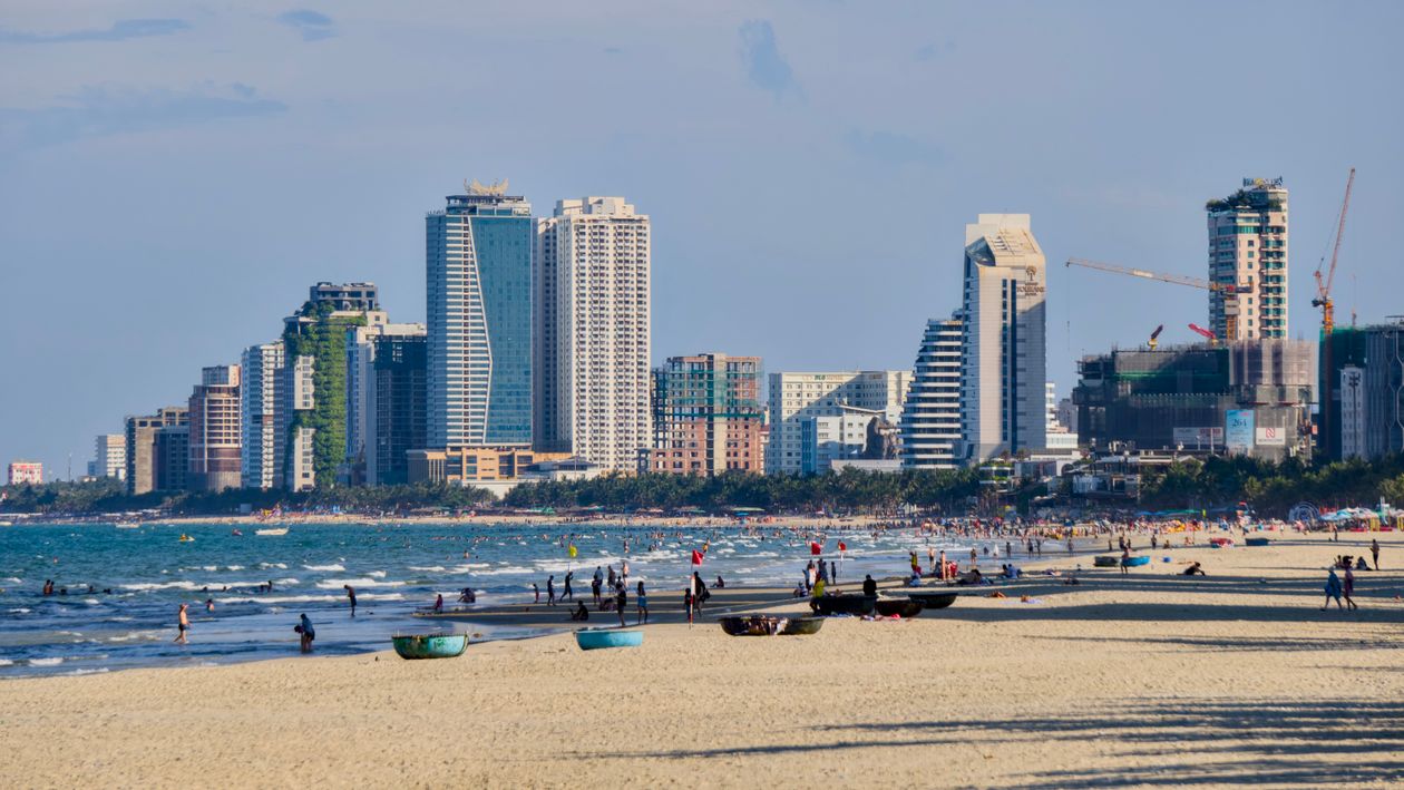 giải pháp lưu trú đà nẵng khi có thú cưng