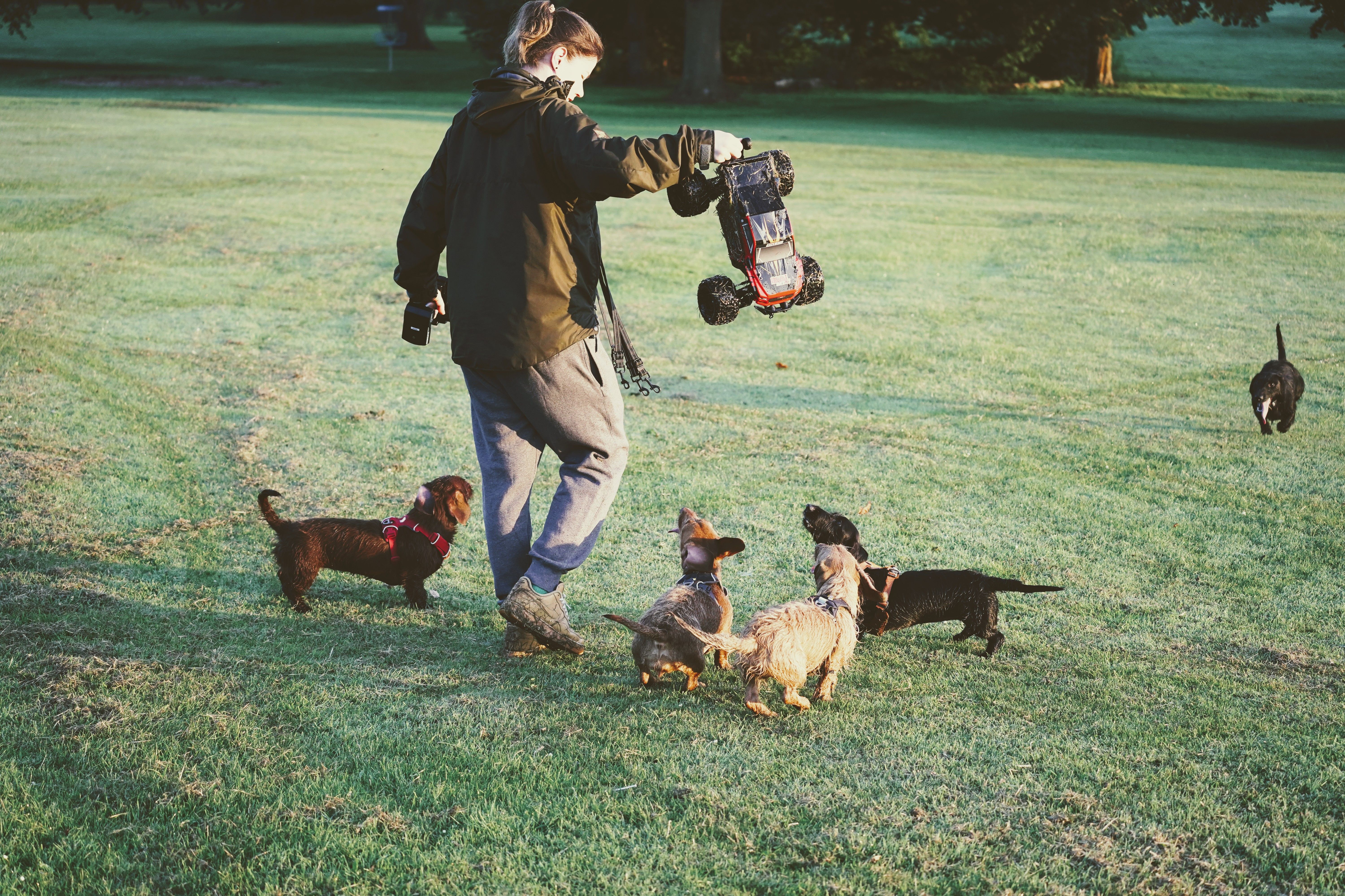 Arf Pets Interactive Automatic Ball Launcher Pro Max with Remote Control