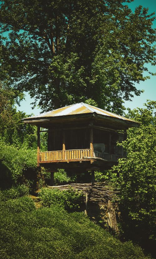 Free A serene rustic cabin surrounded by lush greenery in Artvin, Türkiye, during a clear day. Stock Photo