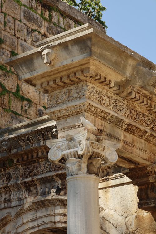 Free A detailed view of ancient Roman masonry with an eurasian collared dove perched on a column in Kaleüçağız. Stock Photo